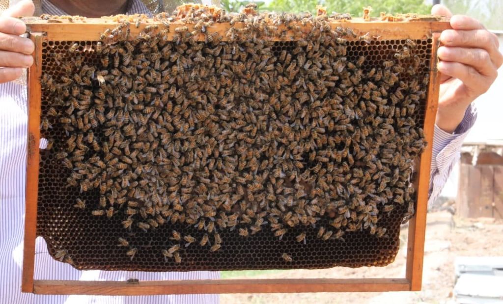 Kol qirgogida jinsiy aloqada bolgan talabalar