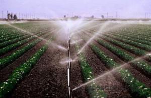 Porno video: Ogli onasini yalangoch uxlayotganini kordi