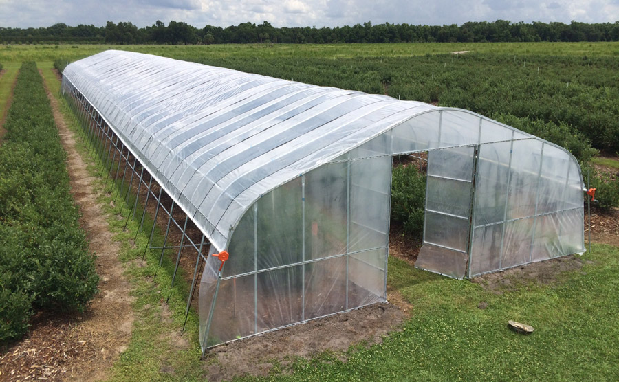 Sekin echinish va chiroyli jinsiy aloqa