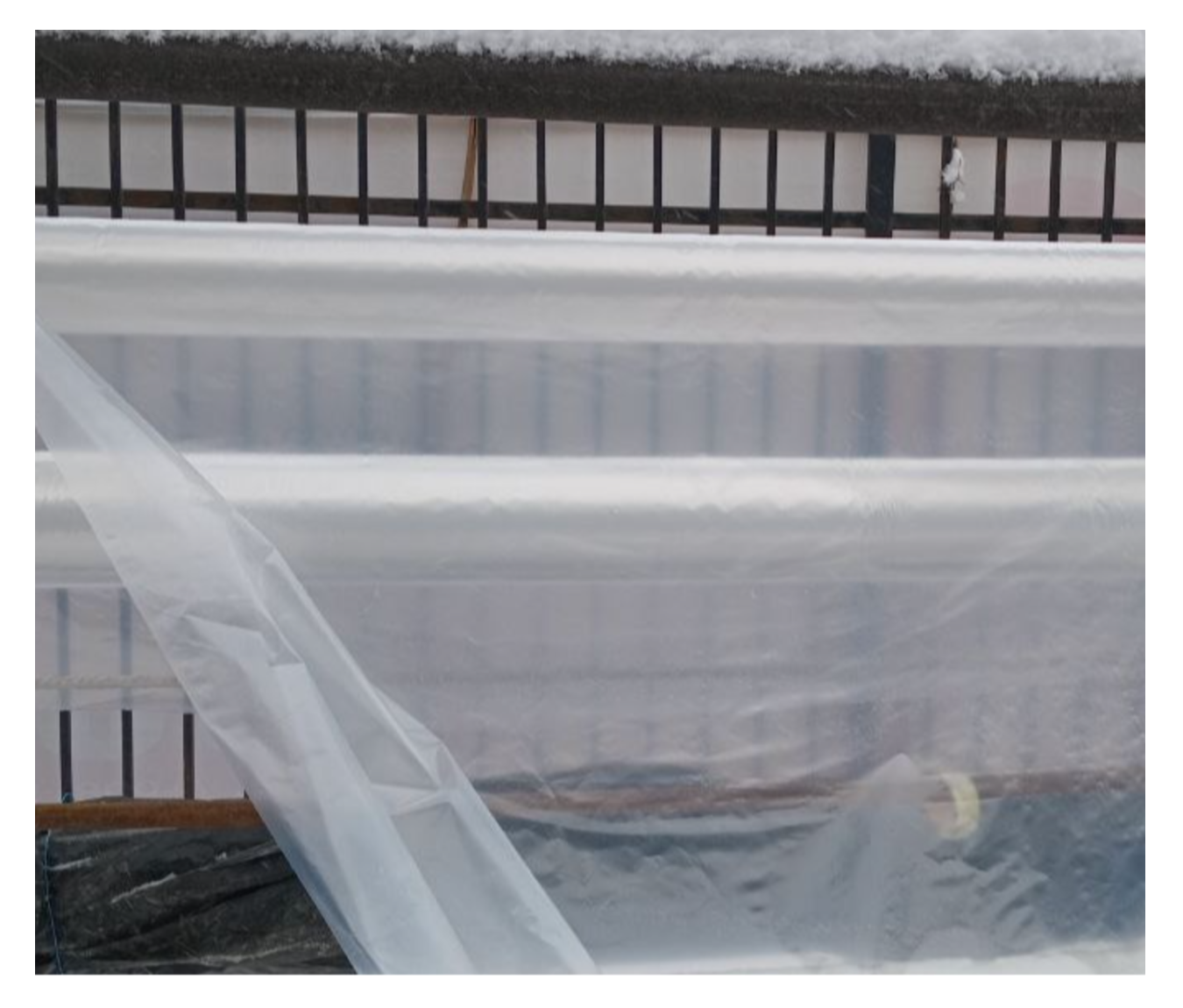 Men eshagimda katta sikni xohlayman