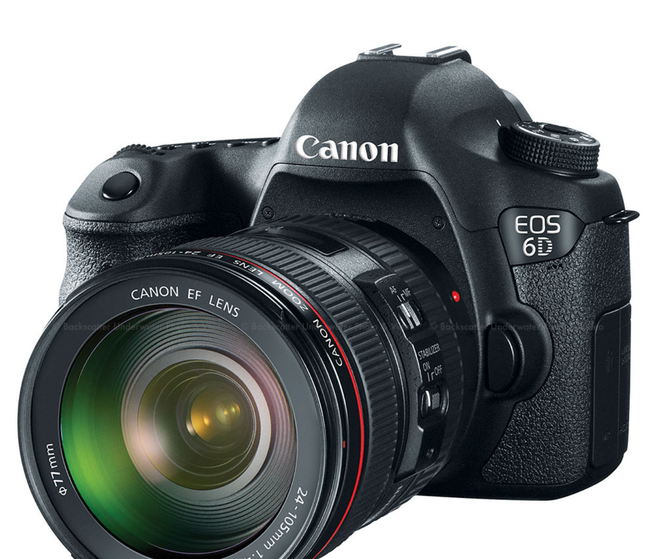 Olga Tsibulskaya oyoq fetishi