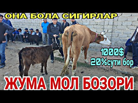 Ayollar videolarda erkaklarni silkitmoqda