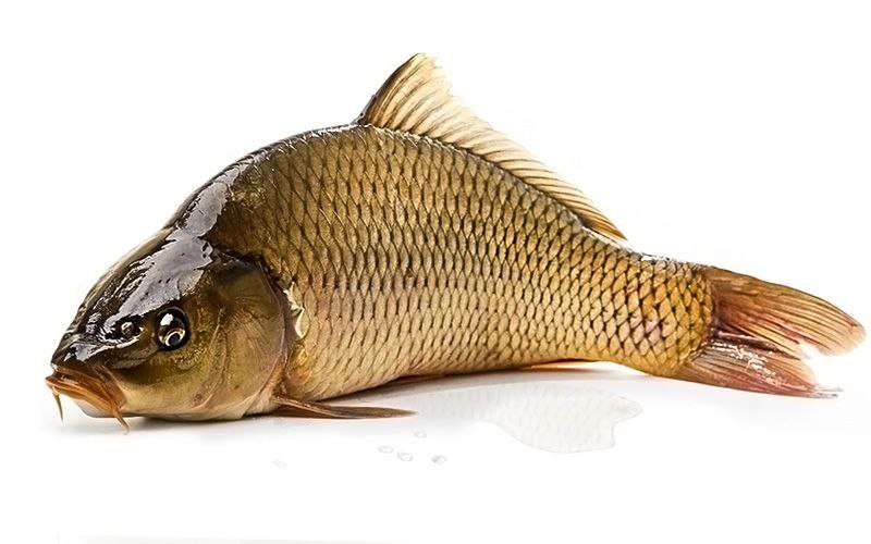 Yosh ayollar bilan jinsiy aloqada bolgan etuk ayollarning fotosuratlari