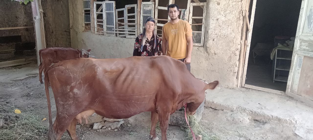 Vintage jinsiy aloqa rasmlar