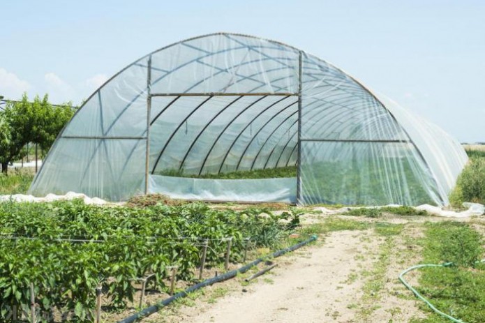 Yetuk zamonaviy porno